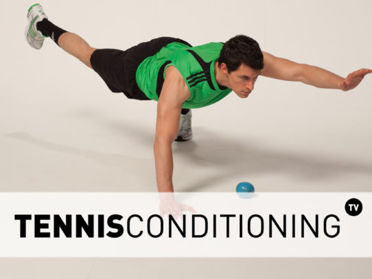 Push Up to Contralateral Limb Raise