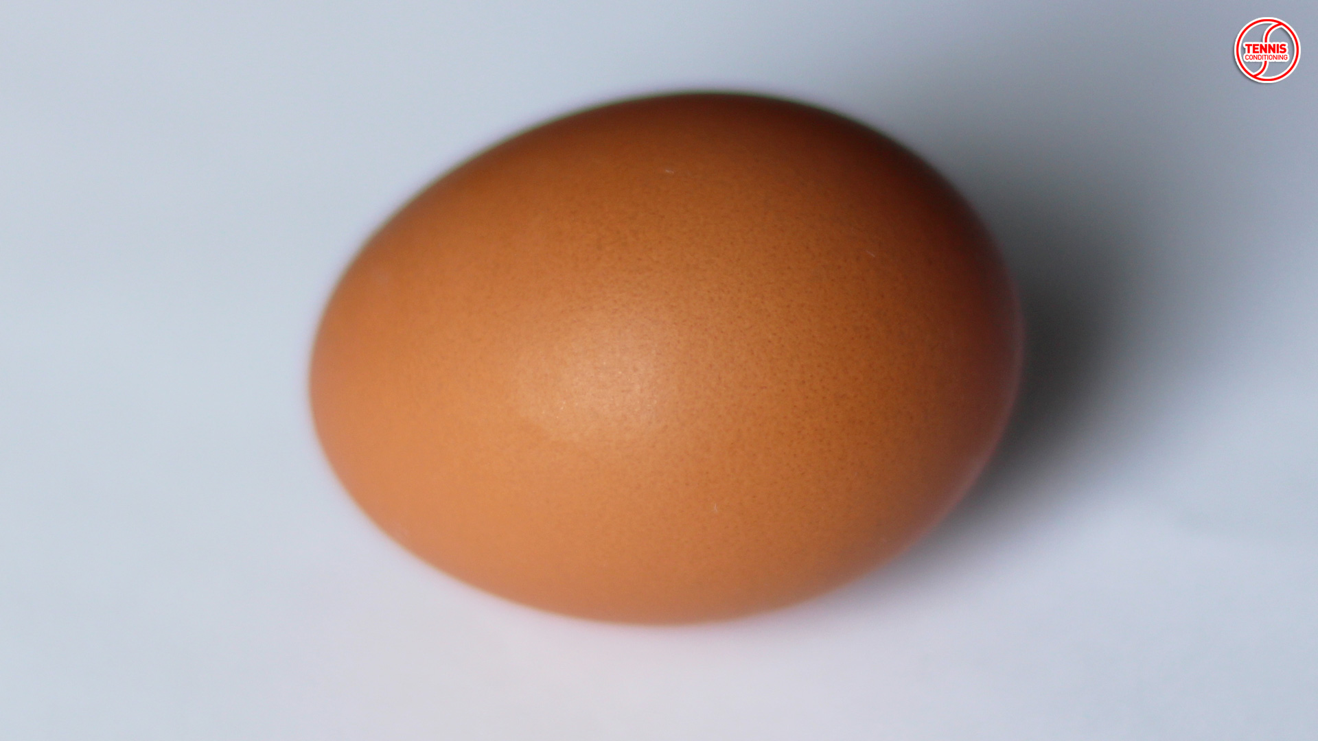 source of protein - egg
