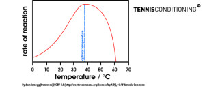 effect of temperature on enzymes