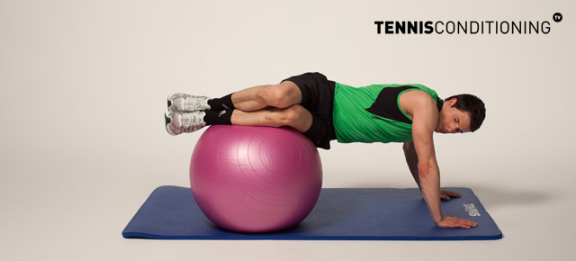 Physio Ball Trunk Rotations