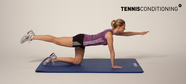 4 Point Prone Contra-Lateral Limb Raises lower back strengthening