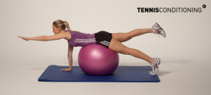 4 Point Prone Physioball Contra-Lateral Limb Raises